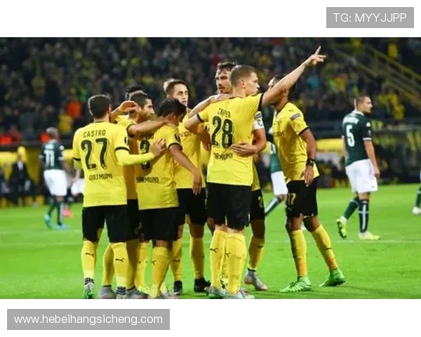 黄蜂队新赛季全面解析聚焦球队阵容变化与未来发展方向